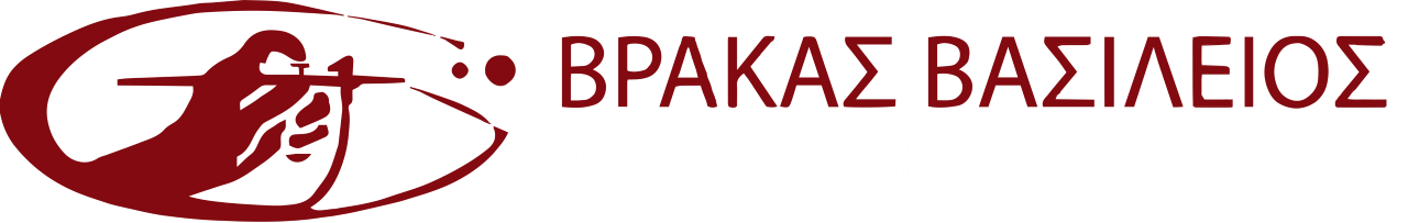 Vrakas Vasileios Logo image